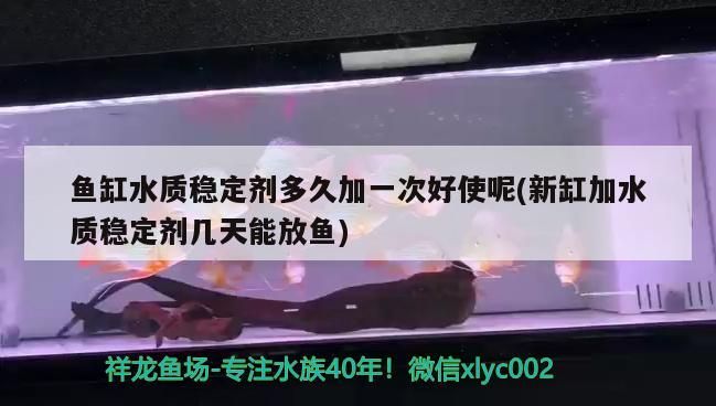 這是元寶鳳凰嘛？