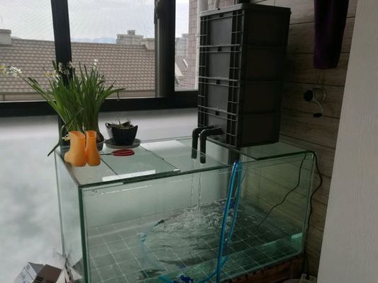 博特魚缸底濾沉淀倉怎么拆：博特魚缸底濾沉淀倉怎么拆博特魚缸底濾沉淀倉怎么拆 博特魚缸底濾沉淀倉怎么拆：博特魚缸底濾沉淀倉怎么拆博特魚缸底濾沉淀倉怎么拆 博特水族 第1張