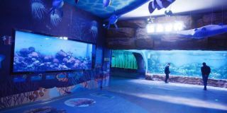 水族館設(shè)備有哪些：水族館智能溫控系統(tǒng)介紹水族箱專用膠水使用技巧 水族館設(shè)備有哪些：水族館智能溫控系統(tǒng)介紹水族箱專用膠水使用技巧 水族館百科（水族館加盟） 第3張