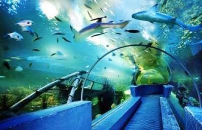 水族館設(shè)備有哪些：水族館智能溫控系統(tǒng)介紹水族箱專用膠水使用技巧 水族館設(shè)備有哪些：水族館智能溫控系統(tǒng)介紹水族箱專用膠水使用技巧 水族館百科（水族館加盟） 第4張