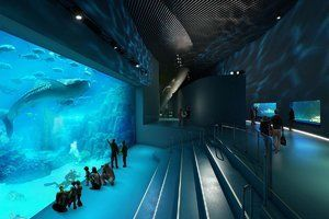水族館設(shè)備有哪些：水族館智能溫控系統(tǒng)介紹水族箱專用膠水使用技巧 水族館設(shè)備有哪些：水族館智能溫控系統(tǒng)介紹水族箱專用膠水使用技巧 水族館百科（水族館加盟） 第5張