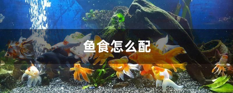 魚(yú)食怎么配