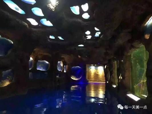水族館名字（世界著名水族館特色介紹水族館名字及其背后的故事）