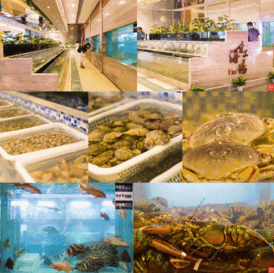 水族館名字（世界著名水族館特色介紹水族館名字及其背后的故事）