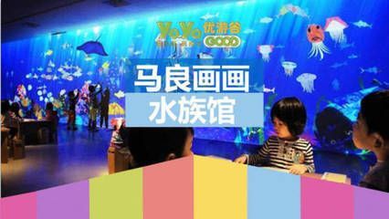 水族館有什么項目可以做（水族館主要項目介紹）