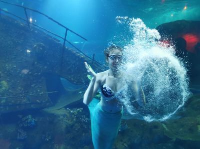 水族館有什么項目可以做（水族館主要項目介紹）