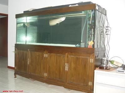 2米高魚缸：2米高的魚缸在家居中較為罕見，可能會讓小孩沒有安全感