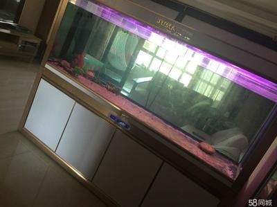 2米高魚缸：2米高的魚缸在家居中較為罕見，可能會讓小孩沒有安全感