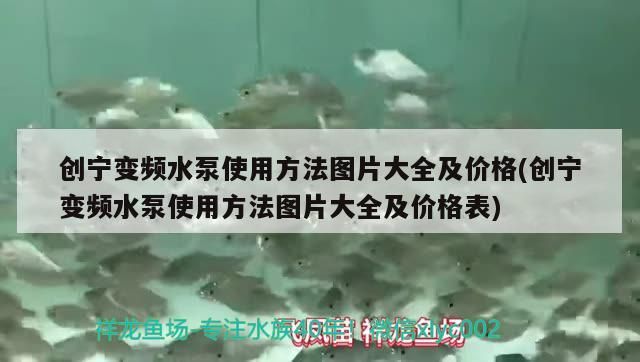 創寧變頻水泵使用方法圖片大全及價格(創寧變頻水泵使用方法圖片大全及價格表)