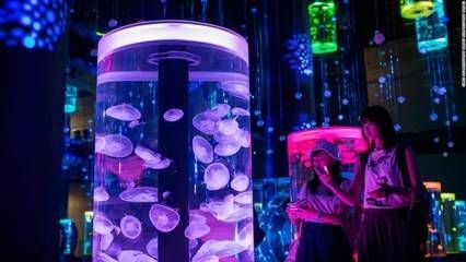 開個水族館的艱難生活小說 水族館百科(水族館加盟) 第5張 開個水族館的艱難生活小說 開個水族館的艱難生活小說 水族館百科(水族館加盟) 第5張
