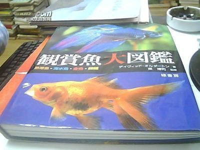 觀賞魚交易網站有哪些（全球觀賞魚文化探秘）