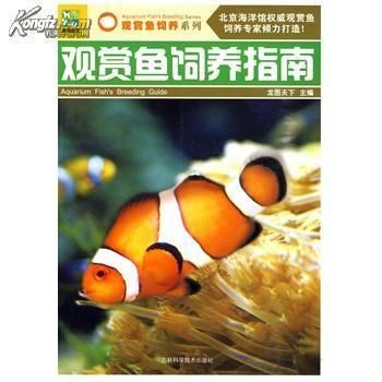 觀賞魚交易網(wǎng)站有哪些（全球觀賞魚文化探秘）