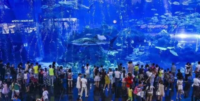 成都水族館門票:成都水族館游客評價匯總成都水族館優惠活動查詢 水族館百科(水族館加盟) 第1張 成都水族館門票:成都水族館游客評價匯總成都水族館優惠活動查詢 成都水族館門票:成都水族館游客評價匯總成都水族館優惠活動查詢 水族館百科(水族館加盟) 第1張