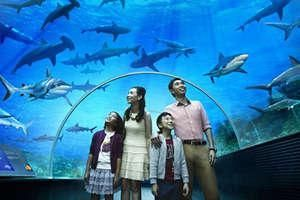 成都水族館門票:成都水族館游客評價匯總成都水族館優惠活動查詢 水族館百科(水族館加盟) 第2張 成都水族館門票:成都水族館游客評價匯總成都水族館優惠活動查詢 成都水族館門票:成都水族館游客評價匯總成都水族館優惠活動查詢 水族館百科(水族館加盟) 第2張