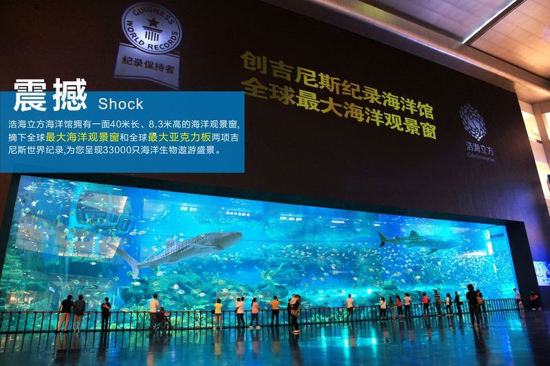 成都水族館門票:成都水族館游客評價匯總成都水族館優惠活動查詢 水族館百科(水族館加盟) 第3張 成都水族館門票:成都水族館游客評價匯總成都水族館優惠活動查詢 成都水族館門票:成都水族館游客評價匯總成都水族館優惠活動查詢 水族館百科(水族館加盟) 第3張