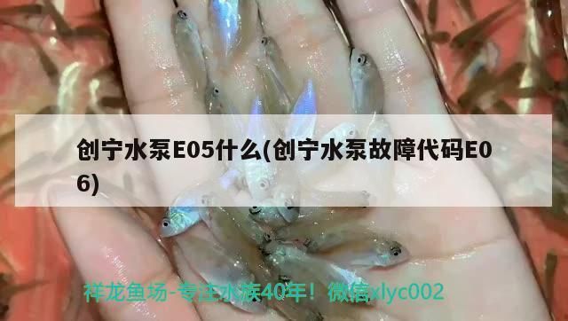 創寧水泵E05什么(創寧水泵故障代碼E06)