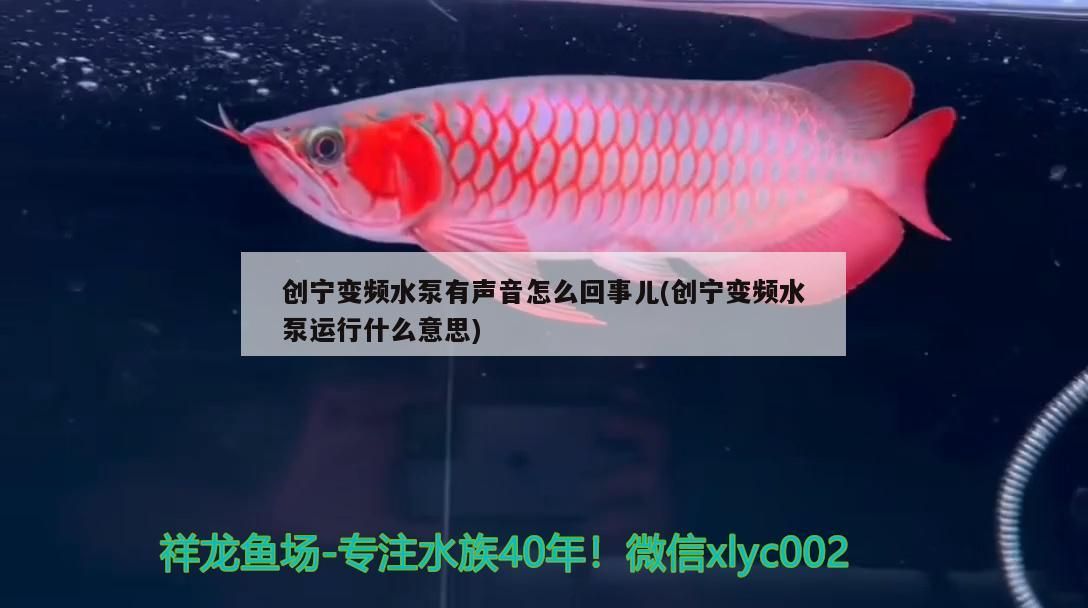 創(chuàng)寧變頻水泵有聲音怎么回事兒(創(chuàng)寧變頻水泵運(yùn)行什么意思)