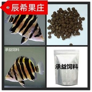 5公分的虎魚(yú)喂什么飼料長(zhǎng)得快：5公分的虎魚(yú)喂什么飼料長(zhǎng)得快5公分的虎魚(yú)喂什么飼料長(zhǎng)得快