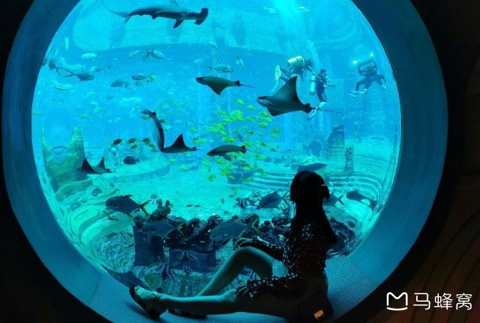 海南水族館哪個好（三亞亞特蘭蒂斯水族館門票價格蜈支洲島海洋館特色活動介紹）