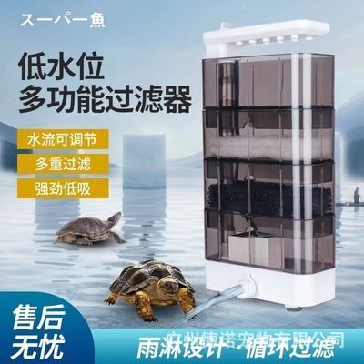 cool魚缸：如何選擇一個合適的魚缸