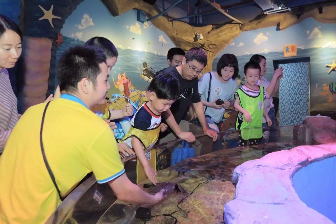30厘米的魚缸造景多少錢：30厘米魚缸造景價格