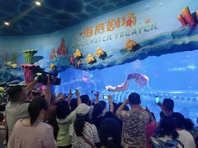 30厘米的魚缸造景多少錢：30厘米魚缸造景價格
