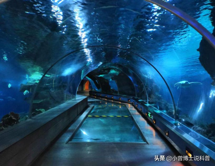 水族館建造費用多少錢：中小型水族館選址技巧有哪些水族館設備品牌推薦