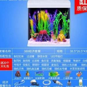 9條小魚需要多大的魚缸呢：26篇小魚缸尺寸養(yǎng)小魚缸推薦9條小魚需要多大的魚缸