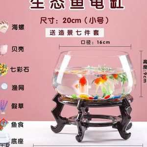 9條小魚需要多大的魚缸呢：26篇小魚缸尺寸養(yǎng)小魚缸推薦9條小魚需要多大的魚缸