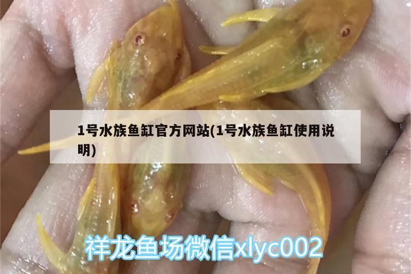 給大魚缸換水的作文:體驗(yàn)給大魚缸換水的樂趣:體驗(yàn)給大魚缸換水:給大魚缸換水的作文 1號(hào)水族魚缸官方網(wǎng)站(1號(hào)水族魚缸使用說明) 黃金貓魚百科 1號(hào)水族魚缸官方網(wǎng)站(1號(hào)水族魚缸使用說明) 1號(hào)水族魚缸官方網(wǎng)站(1號(hào)水族魚缸使用說明) 黃金貓魚百科