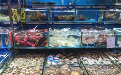 水族館生意好做嗎賺錢(qián)嗎現(xiàn)在（水族館生意是否好做以及能否盈利）
