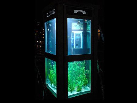 有創意的水族館名字有哪些（水族館名字怎么取?。浚? title=