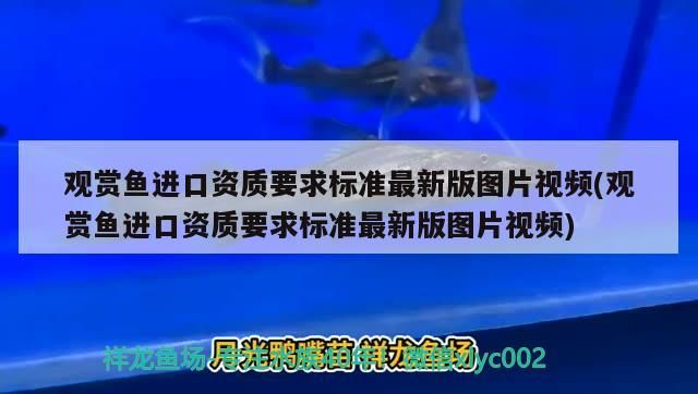 老魚匠殺菌燈說明書電子版圖片大全，老魚匠加熱棒控制器防潮么