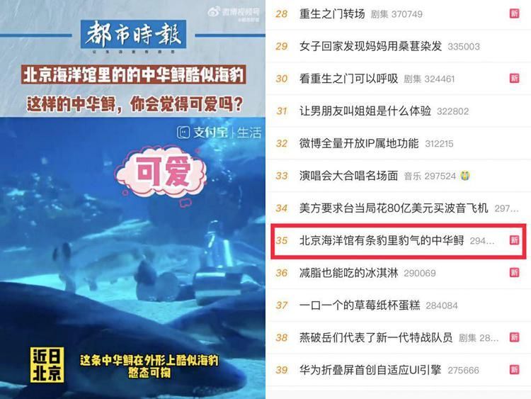 開水族館需要多少錢一個月（開設一個水族館所需費用的大概概覽） 開水族館需要多少錢一個月（開設一個水族館所需費用的大概概覽） 水族館百科（水族館加盟） 第4張