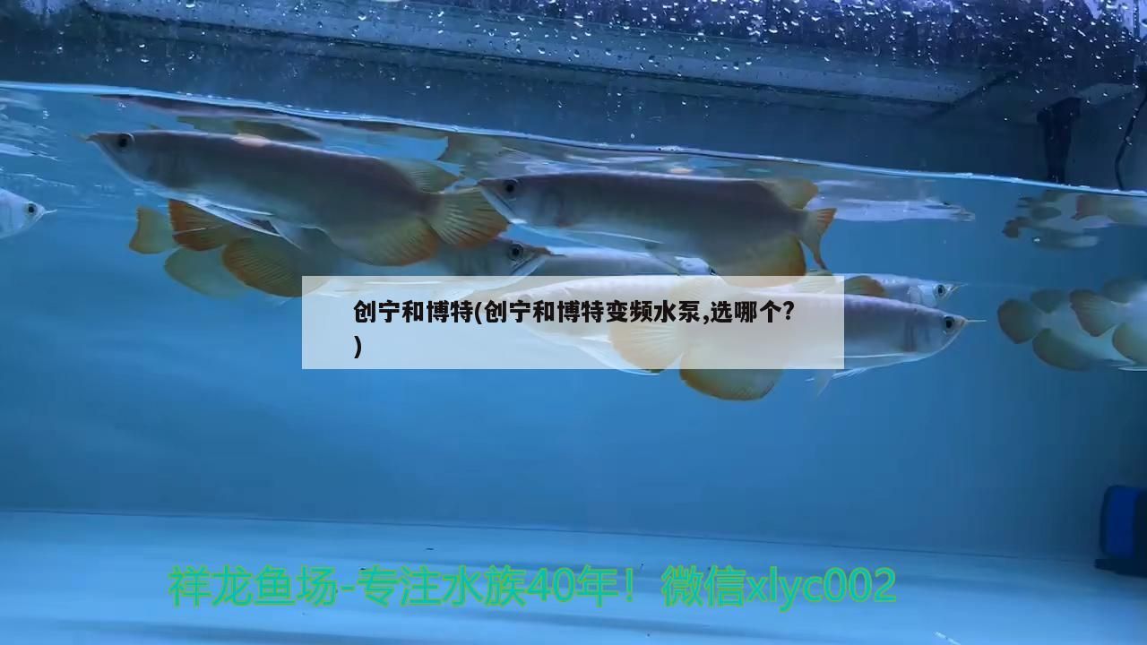 創寧和博特(創寧和博特變頻水泵,選哪個?)