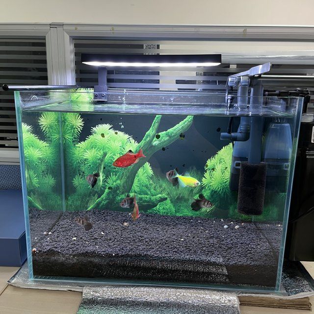 yee魚缸好嗎：yee魚缸在市場上有著一定的知名度和用戶基礎以下是根據給定的