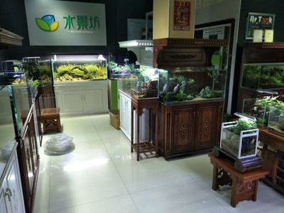 水族館加盟店怎么樣啊多少錢：水族館加盟店的盈利模式
