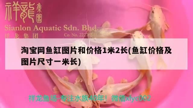 臨沂商城福源水族店