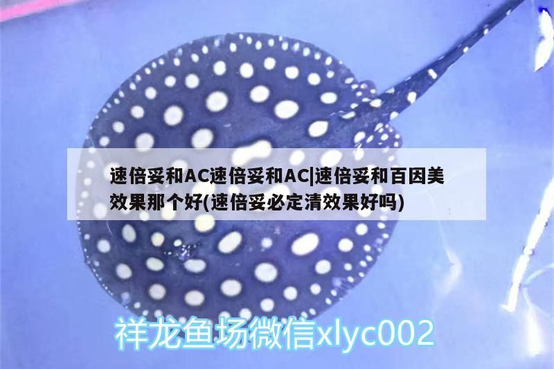 速倍妥和AC速倍妥和AC|速倍妥和百因美效果那個好(速倍妥必定清效果好嗎)