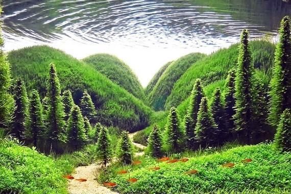 水族館裝修風格圖片（水族館裝修風格圖片展示）