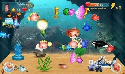 水族館游戲養魚（水族館游戲養成技巧分享水族館游戲養成技巧分享）