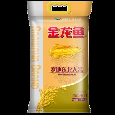 金龍魚藥物品牌比較：金龍魚藥物十大品牌