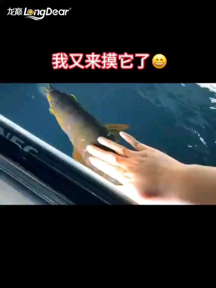轉發613