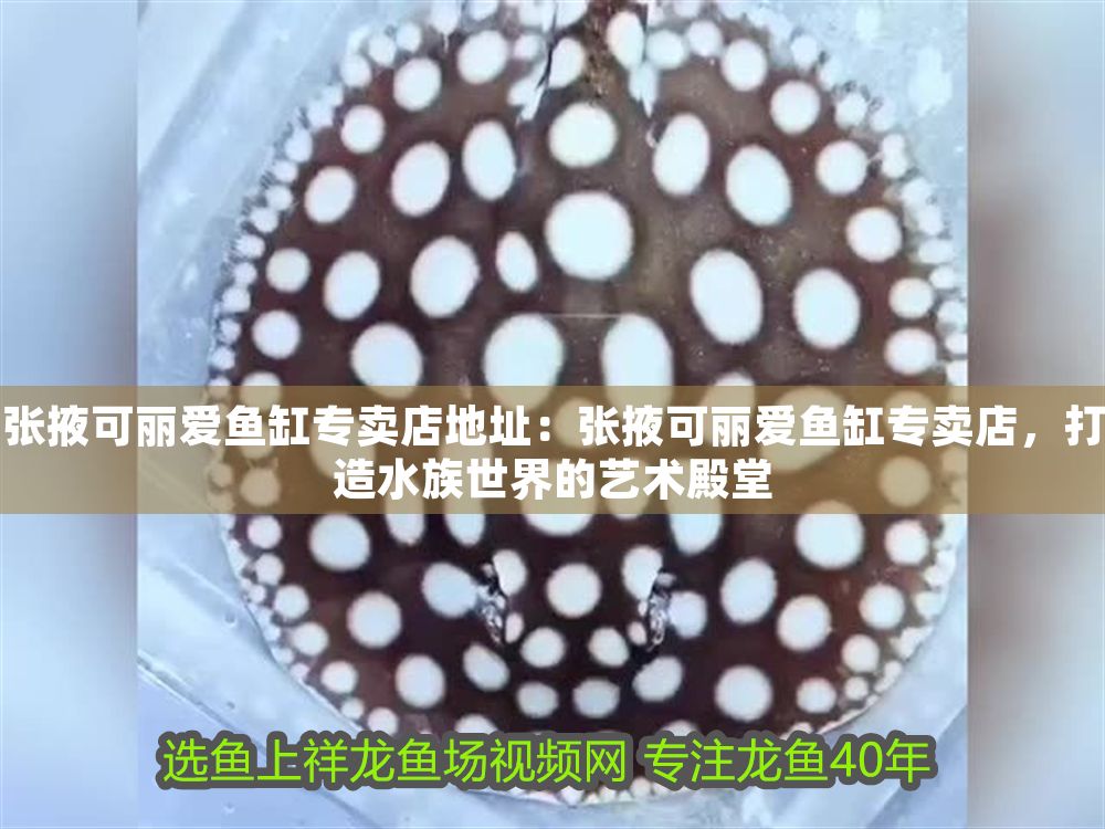 張掖可麗愛魚缸專賣店地址：張掖可麗愛魚缸專賣店，打造水族世界的藝術殿堂