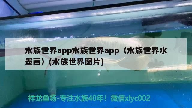 水族世界app水族世界app（水族世界水墨畫）(水族世界圖片)