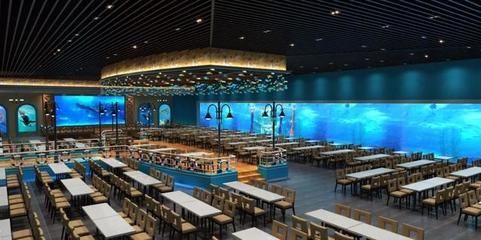 水族館干嘛的（水族館是什么？）