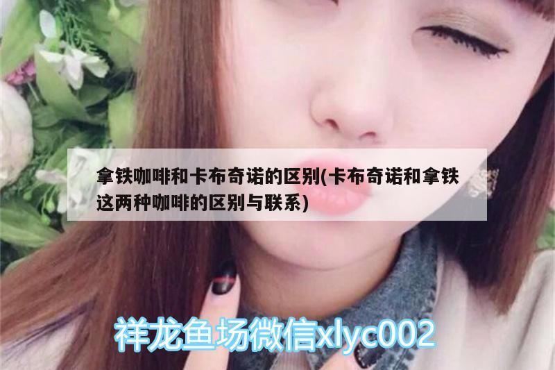 拿鐵咖啡和卡布奇諾的區別(卡布奇諾和拿鐵這兩種咖啡的區別與聯系)