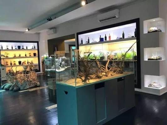 水族館店面擺設效果圖片（水族館店面擺設效果圖） 水族館店面擺設效果圖片（水族館店面擺設效果圖） 水族館百科（水族館加盟） 第3張