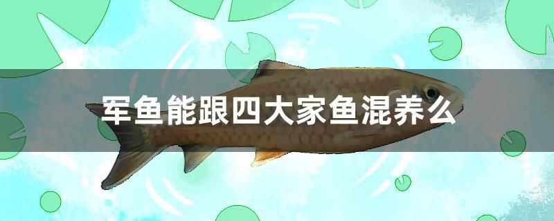 軍魚能跟四大家魚混養(yǎng)么 軍魚能跟四大家魚混養(yǎng)么 九鼎魚缸