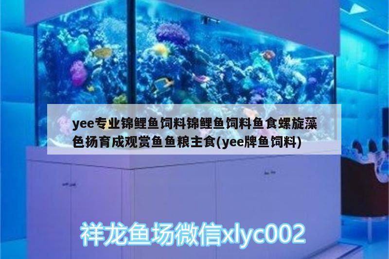 yee專業錦鯉魚飼料錦鯉魚飼料魚食螺旋藻色揚育成觀賞魚魚糧主食(yee牌魚飼料)